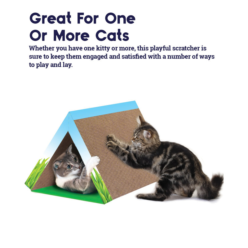 Petstages Fold Away Tunnel and Corrugated Cat Scratcher